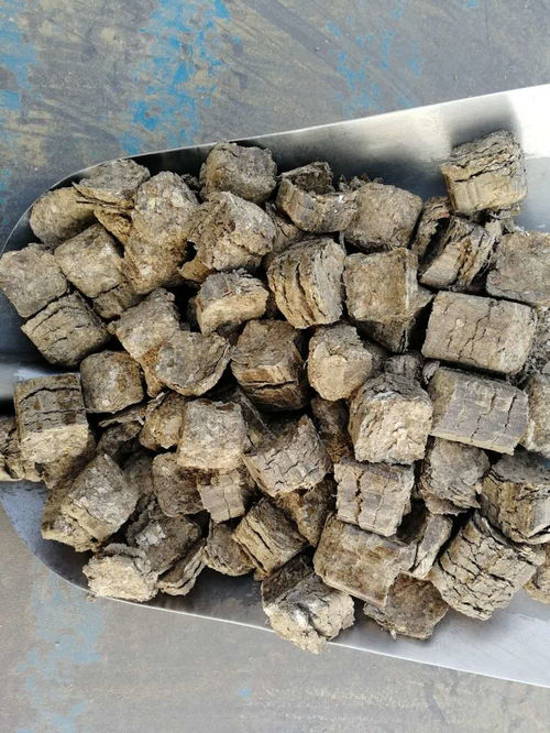 綠色能源新篇章 河南周口環保鍋爐生物質燃料的革新之路